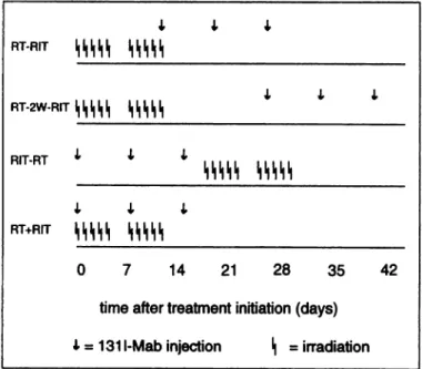 Table 4 RDs, MVs, and skin toxicityafter RT of different dose andfractionationschedulesRT