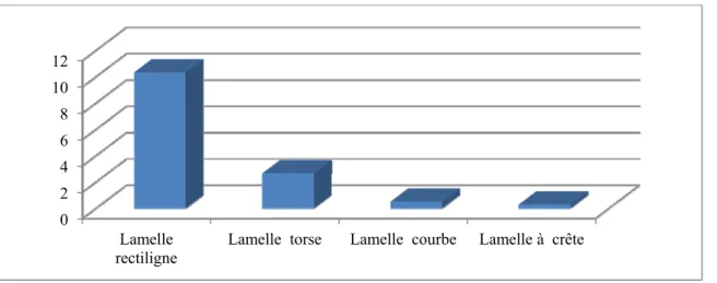Figure 4.3. Pourcentage des types de lamelles (par rapport à la totalité du matériel) 