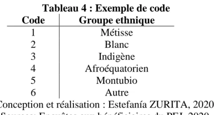 Tableau 4 : Exemple de code  Code  Groupe ethnique 