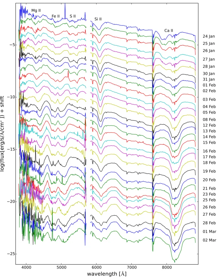 Figure 1. Spectral time series of SN 2014J observations obtained with the TIGRE telescope in both the red and blue channel of the HEROS spectrograph