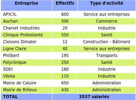 Tableau 3 : Entreprises participantes au PDIE de Périca 