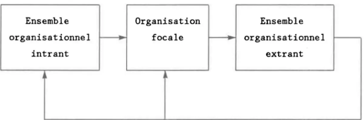 FIGURE  4.  Modèle  "organisation  set"  (Evans,  1966;  Paquin,  1982). 
