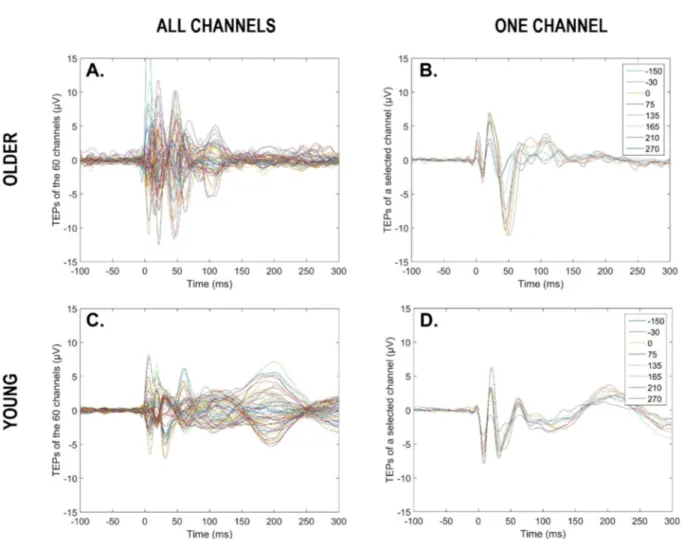 Fig. 2. TMS evoked responses for a representative older and young participant. Butterfly plots of average TMS evoked responses over the scalp (60 channels)  for a given circadian phase (i.e., 270 ◦ ) (A, C)