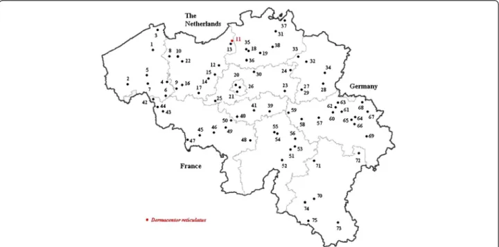 Figure 1 Distribution of selected veterinary practices and presence of an indigenous Dermacentor reticulatus population (red dot) in Belgium.