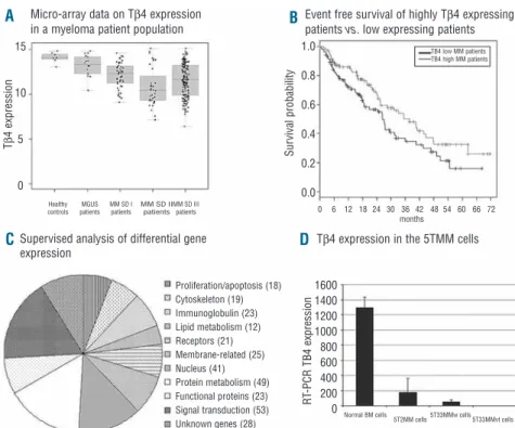 Figure 2C). In addition to affect survival pathways, Tβ4 overexpression reduced migratory capacities of 5T3MM cells; the percentages of cells that migrated in basal  condi-tions and in 10%FCI was significantly lower in 5T33MMvt Tβ4+ compared to control cel