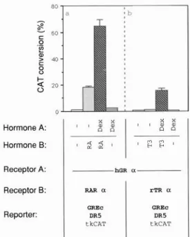 Fig.  8.  The  Specificity  of  a  Hormone  Response  Element  Can  Be  Changed  by  Synergism 
