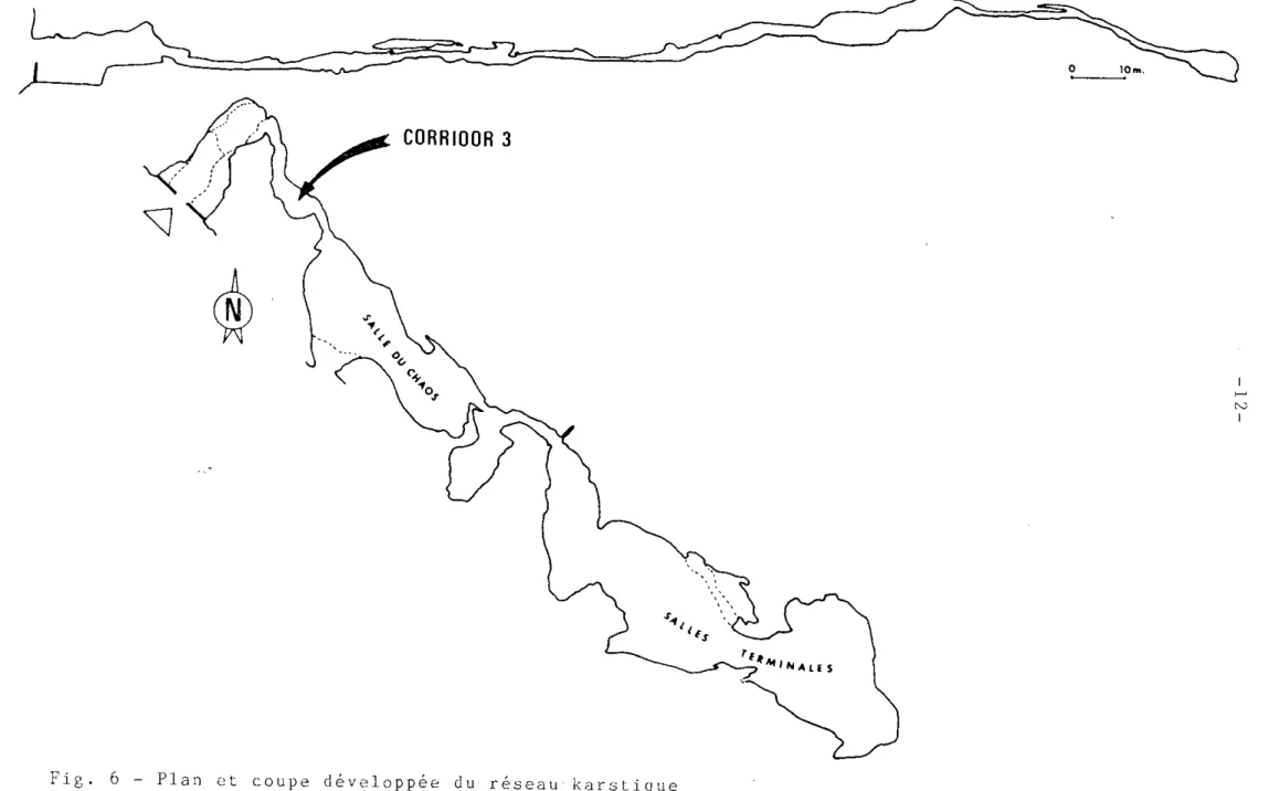 Fig.  6  - Plan  et  coupe  développée  du  réseau  karslique  de  la  C2verna  delle  Fatc 