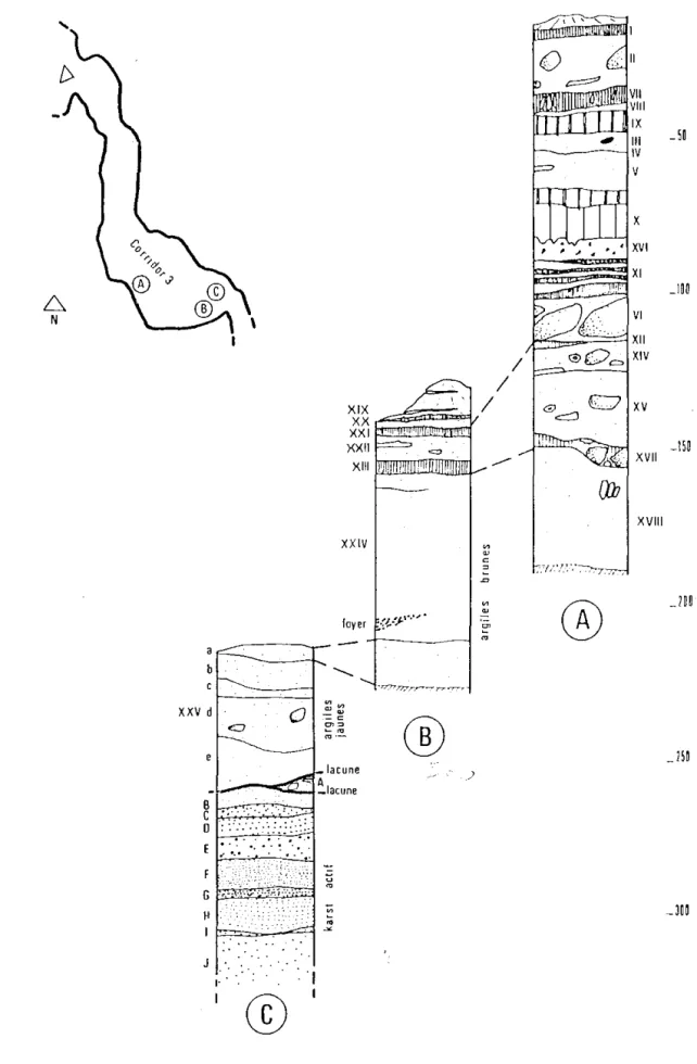 Fig.  12  - Log  synthétique  et  corrélations  stratigraphiques  des  trois  coupes  étudiées