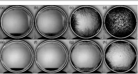 Figure 8. Evolution of the surface waves in Tibet 2 bowl filled with water. (a)–(d) Mode (2,0) is excited with a frequency f = 144 Hz