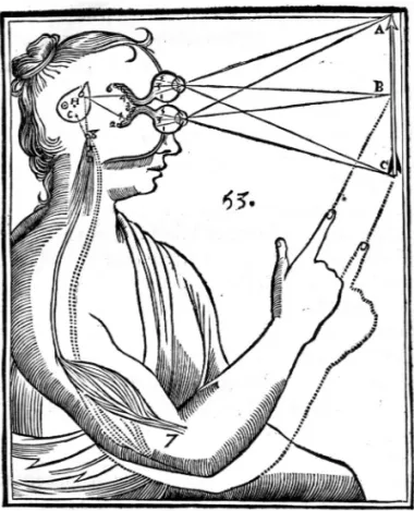 Figure 1. Figure de la statue ou de la machine du corps humain dessinée par le  médecin Gérard van Gutschoven pour l’édition de L’Homme de 1664