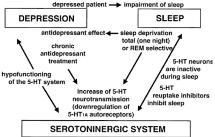 Figure 5 : Summary of the relations between sleep, depression, and the serotoninergic system  (Adrien 2002)