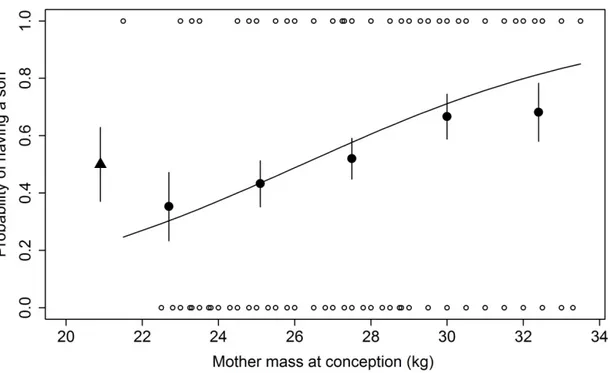 Figure 1: Probability to have a son (0: daughter, 1: son)  for female eastern grey kangaroos  according  to  mass  pre-conception