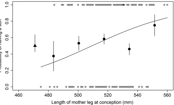 Figure 2: Probability of having a son (0: daughter, 1: son) for female eastern grey kangaroos  according to leg length at conception