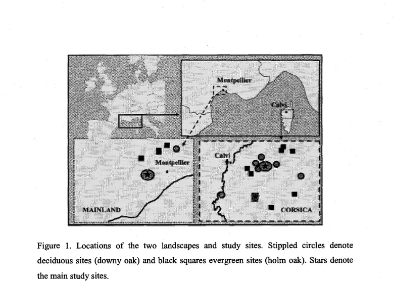 Figure 1. Locations of the two landscapes and study sites. Stippled circles denote  deciduous sites (downy oak) and black squares evergreen sites (holm oak)