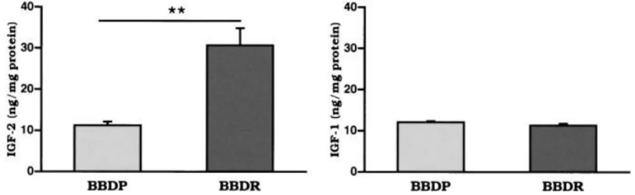 Figure 4. Ampliﬁcation of Igf1, Igf2, Ins and b actin mRNAs from 5-week-old BBDP, BBDR and WF rat thymi by RT-PCR