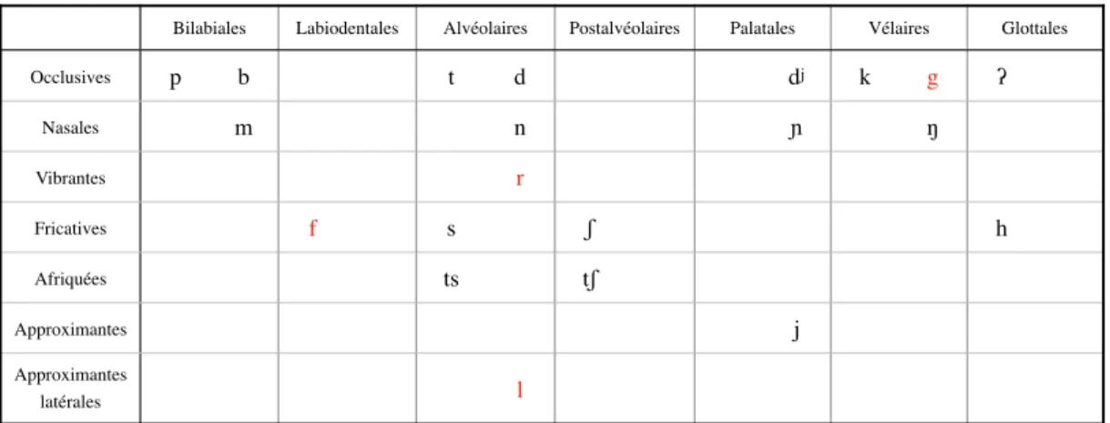 Figure 4. Phonèmes consonantiques du  TEX