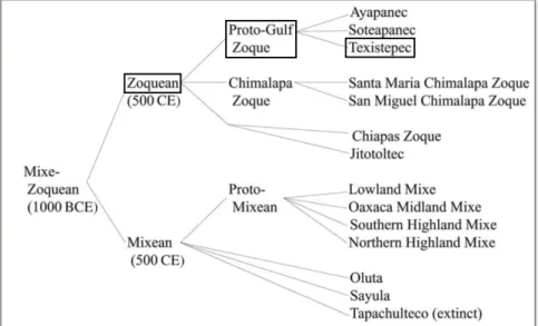 Figure 2. Langues de la famille linguistique mixe-zoque