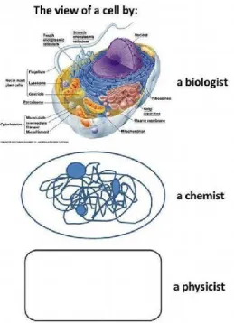 Figure 7 : Illustration humoristique de la façon dont la physiologie cellulaire est simplifiée par  des modèles.Tiré de LoversScience(2014)