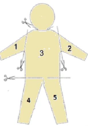 Fig. 1. Cutting of the combination into 5 parts, adapted from Garrido Frenich et al. (2002)  (1: right sleeve; 2: left sleeve; 3: thorax (chest and back); 4: right leg; 5: left leg)