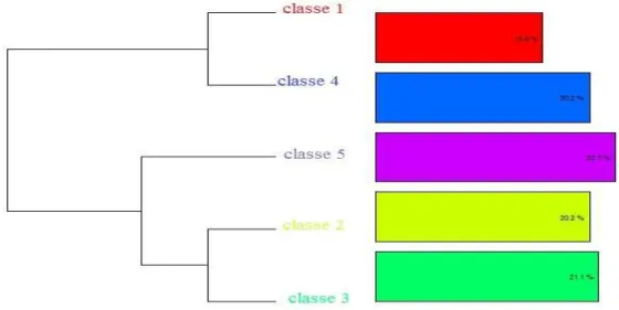 Figure 2 : Dendrogramme du corpus