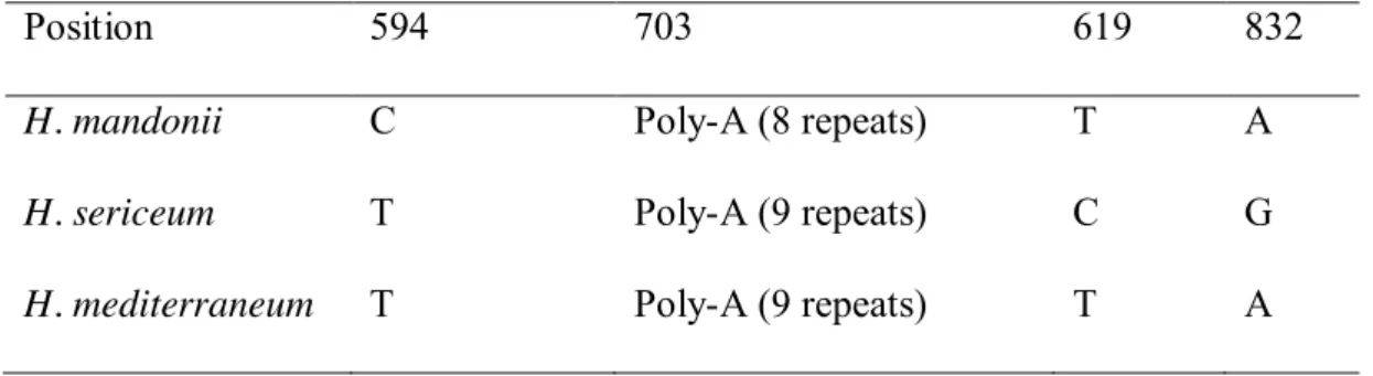 Table 2. Species-specific polymorphisms in the rpl16 gene among Homalothecium  mandonii, H