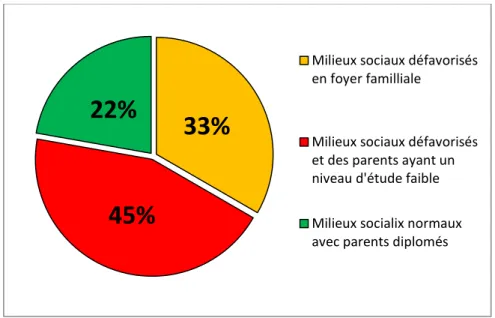 Tableau 1 : Effectif CAP Maintenance des Véhicules Automobiles 