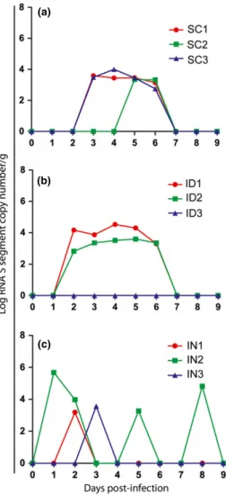 Table 1. Log copy number of SBV S-segment by weight (g) of organ for each ewe