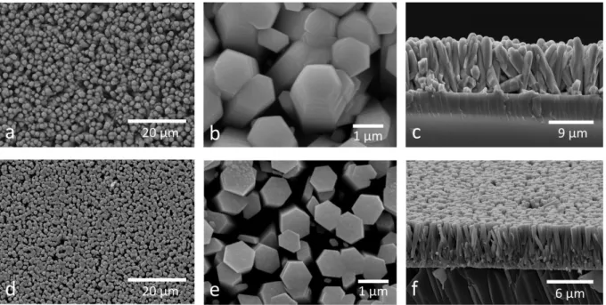 Figure 1.4.  ESEM images of NWs grown with  KMnO 4  activation: (a) general view, (b) top  view and (c) side view