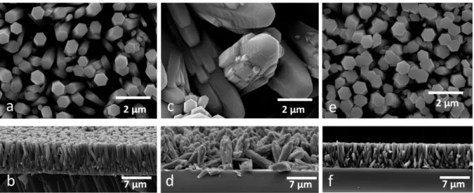 Figure 1.5. ESEM pictures of the NWs obtained by different procedures. (a) and (b): top and  side view of initial procedure; (c) and (d): top and side view with first modified procedure; (e)  and (f): top and side view with simplified procedure