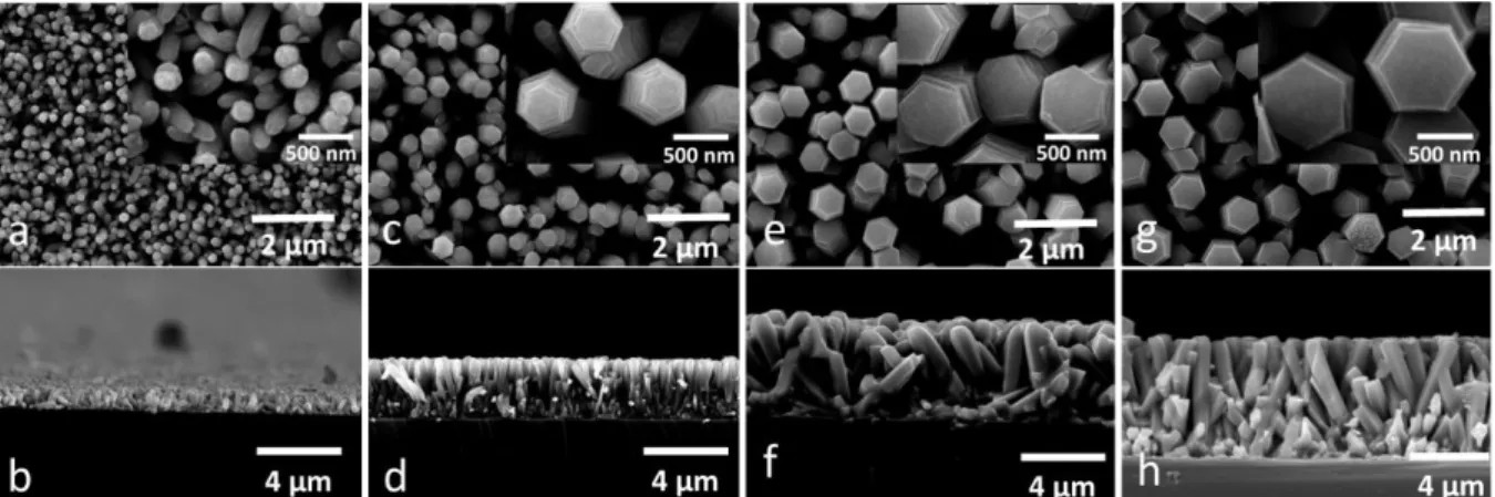 Figure 1.11. ESEM images of the evolution of ZnO NWs during growth process with inserted  zoom of NWs