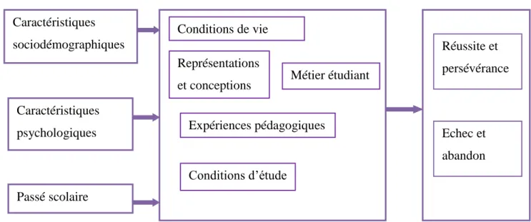Figure 1 : Synthèse des principaux facteurs de réussite et d'échec  Caractéristiques  sociodémographiques  Caractéristiques  psychologiques  Passé scolaire  Conditions de vie Représentations 