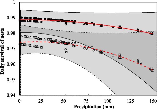 Figure 2.3. Decrease in  the daily survival  of first  (hatched  red line) or second (plain red  line)  nesting  attempt  of  female  wild  turkeys  from  three  northern  populations  with  increasing cumulative precipitation over the previous 10 days