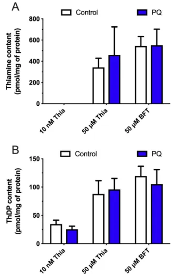 Fig. 11. Effect of PQ on thiamine and ThDP content in Neuro2a cells. Neuro2a cells were incubated with or without PQ (0.25 mM) for 24 h at 37  C in 6-well plates in the absence of added thiamine, or in the presence of 50 μ M thiamine or BFT