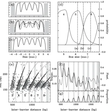 FIG. 4. Theoretical probability of nucleosome occupancy at each point of a box bordered by two infinite walls mimicking excluding barriers at gene extremities: (a) box large enough to shelter n ¼ 5 nucleosomes (black); (b) larger box where the two n ¼ 5 an