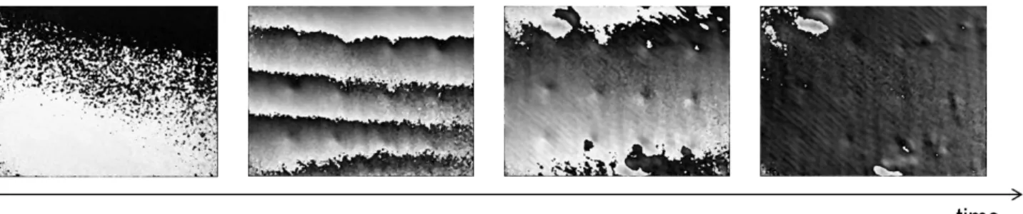 FIGURE 3: Temporal series of shearographic interferograms showing different defects at different instants during the  travel of the heat wave through the sample.