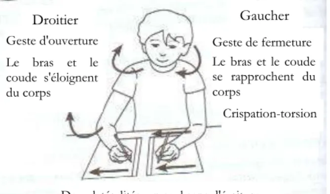Figure 1 : Schéma du geste du bras en fonction  de  la  latéralité  de  l'élève  (dessin  Michel  Galobardès,  issu  de  Comprendre  et  accompagner  l'élève  gaucher,  2015,  édition  Hachette éducation)