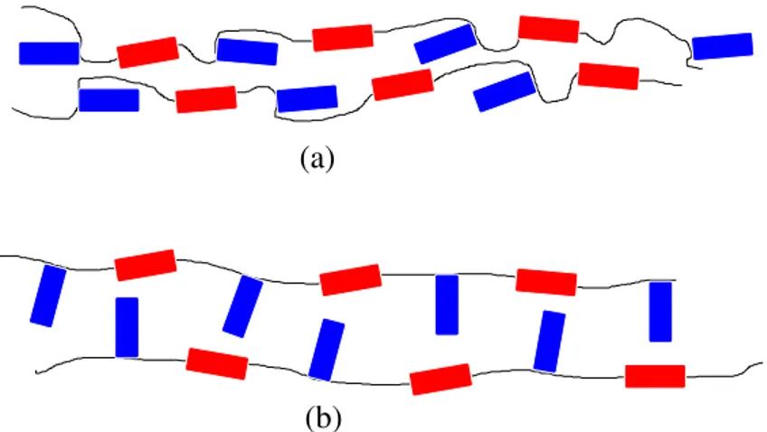 Figure 14 Mécanisme du comportement auxétique d’un LCP. En a), la structure nématique au repos et en b), le polymère ayant subi un étirement uniaxial.