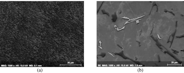 Figure  5:  SEM  micrograph  of  LBM  AlSi10Mg  as-built  after  etching  with  Flick’s  reagent  (high  magnification) 