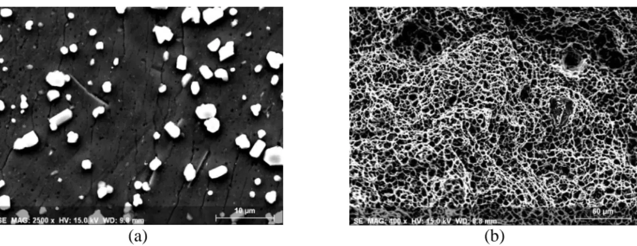 Figure 8: (a) SEM micrograph of LBM AlSi10Mg solutionized at 510°C for 6 hours and aged at  170°C for 4 hours (after etching with Flick’s reagent), and (b) SEM fractograph of a solutionized  and aged LBM AlSi10Mg tensile specimen 