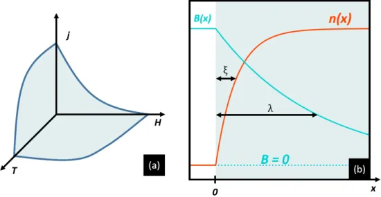 Figure 2.1: (a) Sketch representing the region of existence of a superconducting phase in the H − T − j diagram