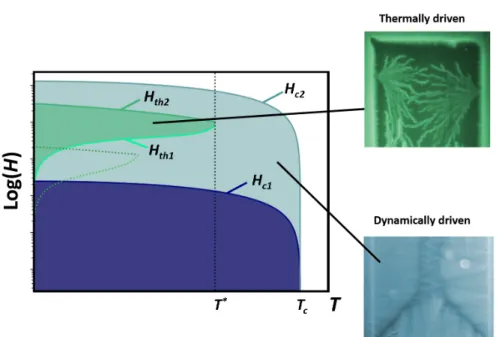 Figure 2.5: Log(H) − T diagram of a type-II superconductor. The white region above H c2 and T c corresponds to the normal state of the sample