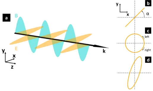 Figure 3.1: (a) Electromagnetic wave corresponding to a monochromatic polar- polar-ized light