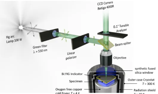 Figure 3.5: Schematic of a typical magneto-optical set-up. A Hg lamp produces a polychromatic light that is ltered down to a λ = 550 nm monochromatic green light