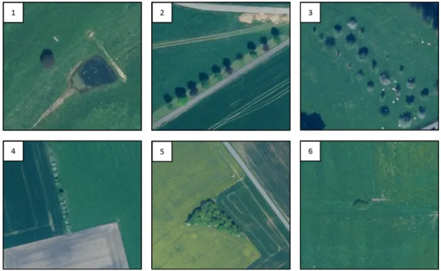 Figure 3. Illustration of the targeted classes for the TOF classification: 1: Isolated tree, 2: Aligned trees, 3: Agglomerated trees, 4: Hedge, 5: Grove, 6: Shrub