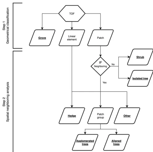 Figure 4. Overall flowchart of the TOF classification divided into two steps: geometrical classification and spatial neighboring analysis