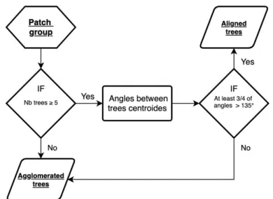 Figure 7. Flowchart of the Patch groups classification into two classes: Aligned trees and Agglomerated trees.