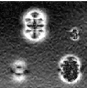 Fig. 1. Phase difference image of a numerical- numerical-ly simulated sample with 4 defects measured  by shearography 