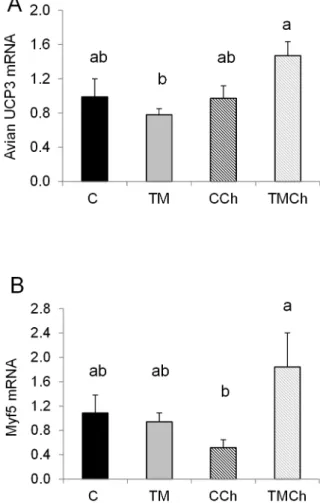 Figure 3A). Expression of myogenic transcription factor 5 (Myf5) was significantly higher (P,0.05) in the TMCh group than in the CCh group (Figure 3B).