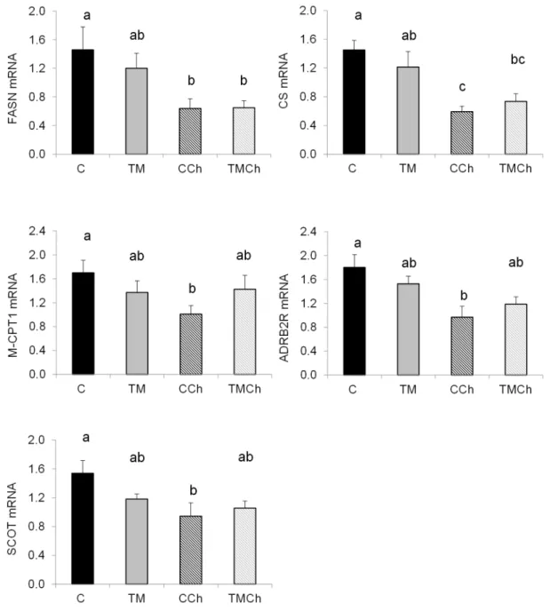 Figure 4. Levels of mRNA of genes affected by heat challenge in the livers of d34 control broiler chickens