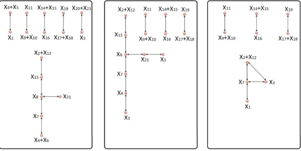 Figure 1. The left-hand panel is the complex graph corresponding to the original model of neural stem cell regulation